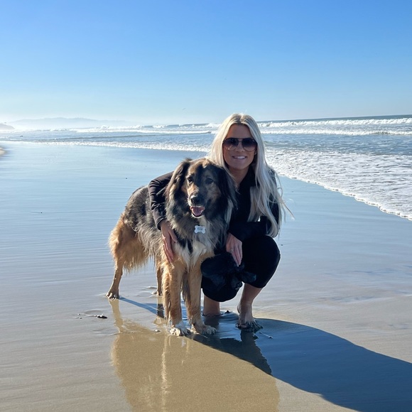 Meet your Posher, Morgan - Picture 1 of 1